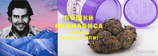 прущие крисы Краснотурьинск