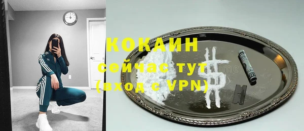 мдпв Краснослободск