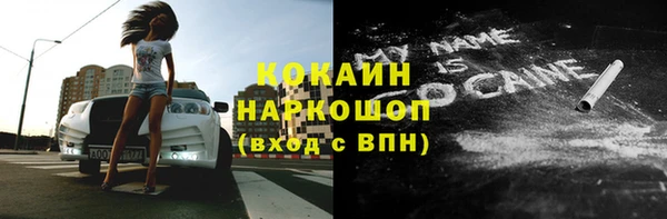 мдпв Краснослободск