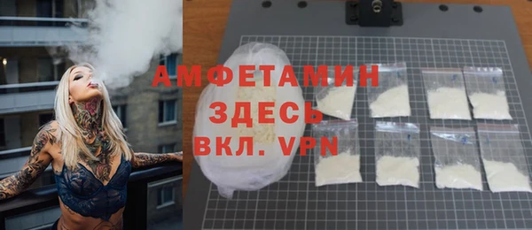 мдпв Краснослободск