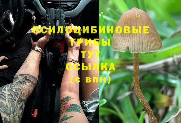 прущие крисы Краснотурьинск