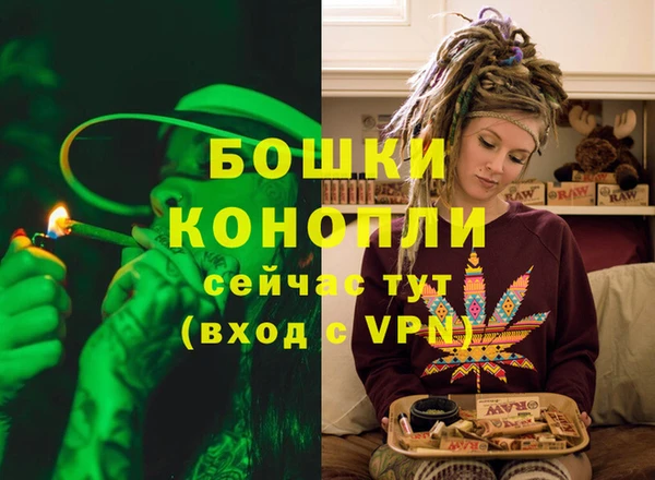 мдпв Краснослободск