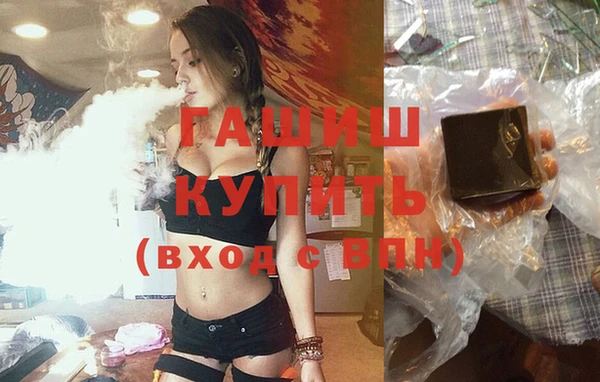 мдпв Краснослободск