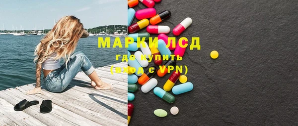 мдпв Краснослободск