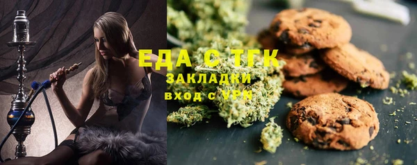 мдпв Краснослободск