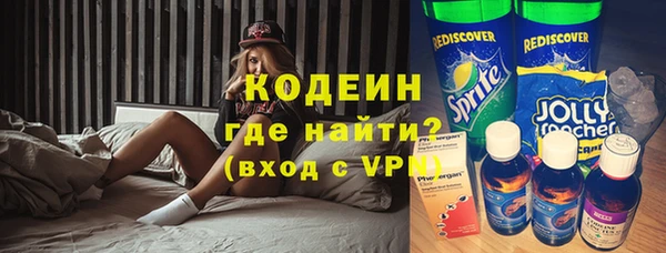 мдпв Краснослободск