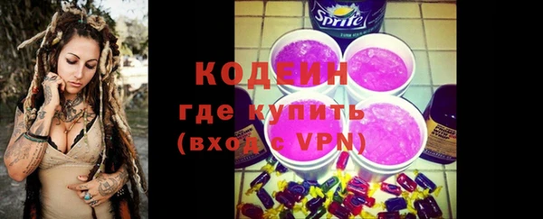 мдпв Краснослободск